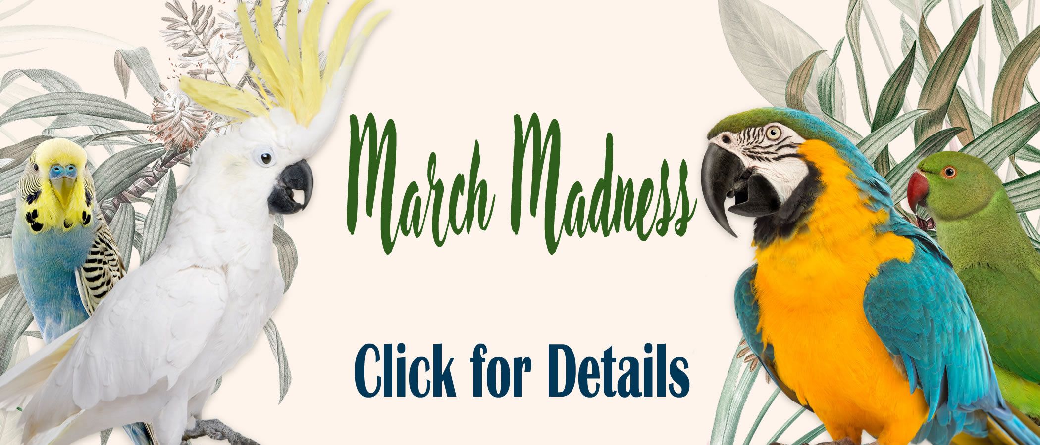march_madness_new_site_r1_c1.jpg