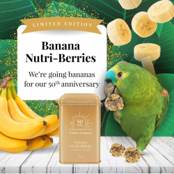 Lafeber's Ltd. Edition Banana NutriBerries Parrot