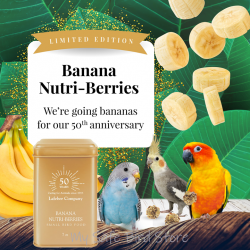 Lafeber's Ltd. Edition Banana NutriBerries Sm Bird