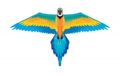 Rainforest Macaw Kite