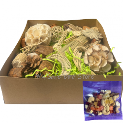 Boredom Busters Foraging Box Large