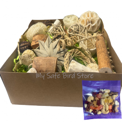 Boredom Busters Foraging Box Medium