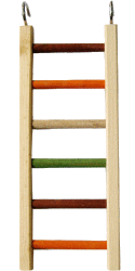 Wooden Hanging Ladder 14" by Happy Beaks