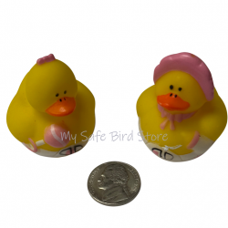 Mini Baby Ducks