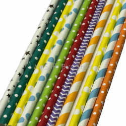 Paper Straw  Assortment 10-Pack