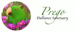 Prego Dalliance Sanctuary