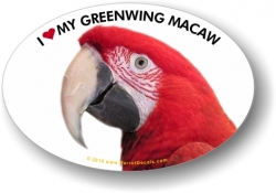 Green Wing Macaw Decal