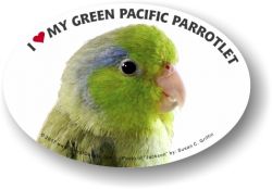 Pacific Parrotlet Decal