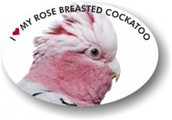 Rose Breasted Cockatoo Decal