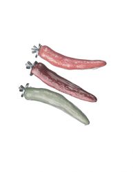 Polly's Pet Products Cayenne Pepper Perch Sm.