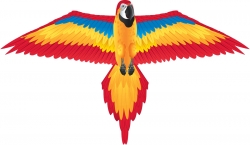 Scarlet Macaw Kite