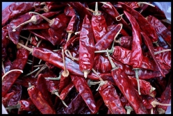 Chili Peppers  - Dried per 1/2 lb.