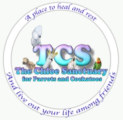 The Chloe Sanctuary (TCS)