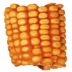  Drilled Corn 9 Pack