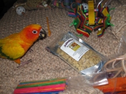 I have Granola, toys and more!!!