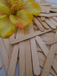 Natural Wood Craft Sticks 25 Pack