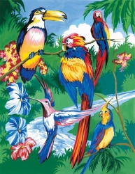 Royal & Langnickel Paint by Numbers Tropical Birds