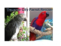 Traverse City Bird Rescue