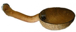 Polly's Pet Products Coconut Cup with Perch Small