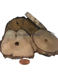 Birch Wood 5 Inch Slice with 5/8