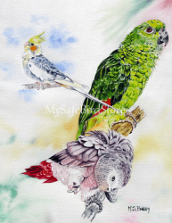 Artist Maria Barry Greeting Card Bird Trio