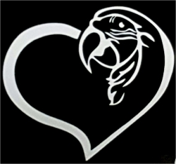 Macaw  Heart Window Decal