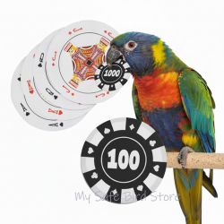 Poker Chip Playing Cards 52 Pack