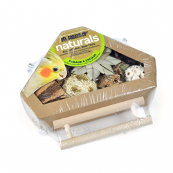 Prevue Corner Foraging Box with Perch
