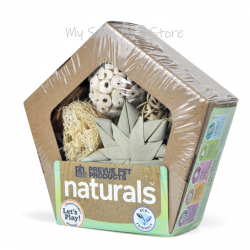 Prevue Small Pentagon Forage N Play Box