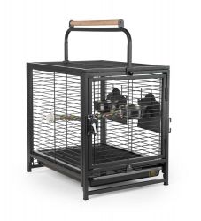 Prevue Wrought Iron Travel Cage