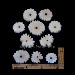 Solo Daisy 20 Pack