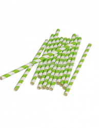 Paper Straws Lime Green Striped