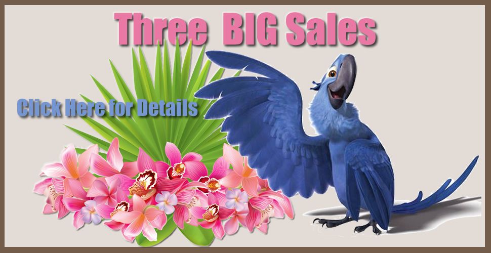 three_big_sales_hyacinth_r1_c1.jpg