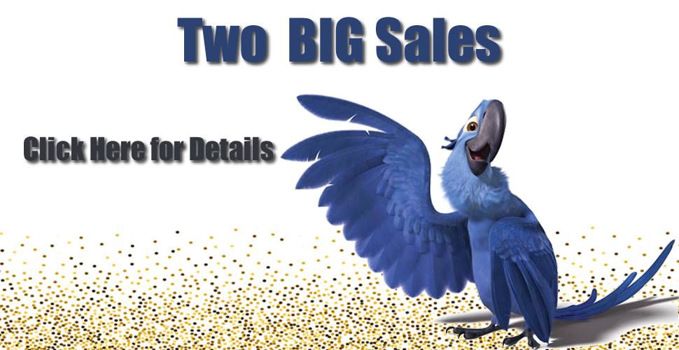 two_big_sales_glitter_r1_c1.jpg